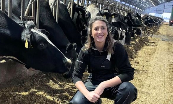 Woman crouching in a barn next to some black and white cows.